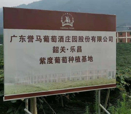 廣東韶關(guān)葡萄酒莊園選用螺桿式蒸發(fā)冷機組